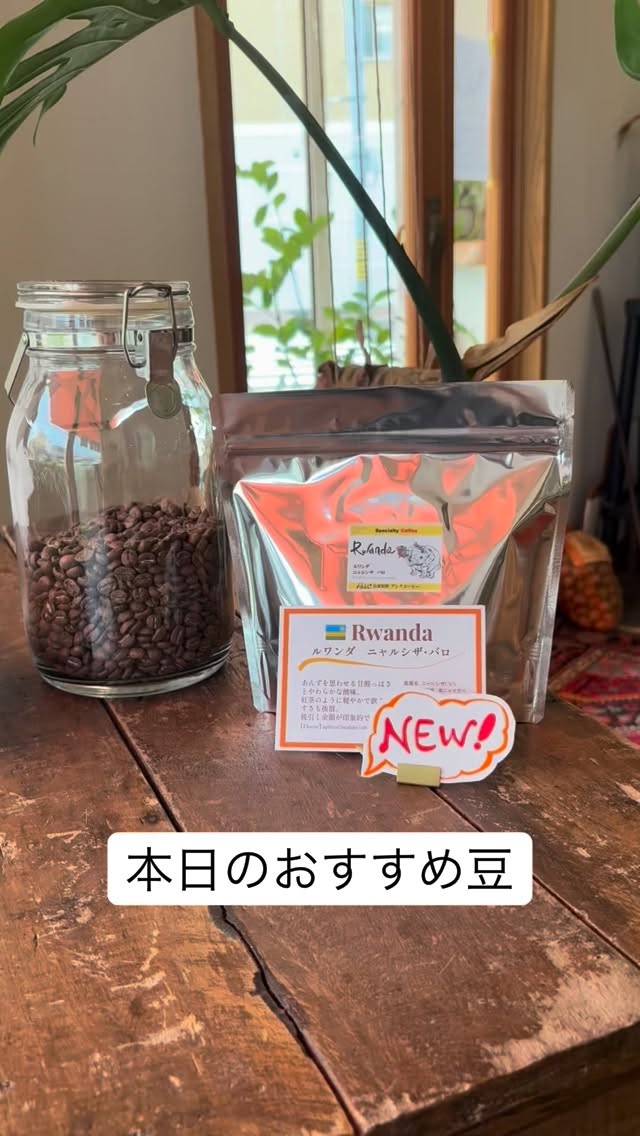 本日のおすすめ豆
「ルワンダ　ニャルシザ・バロ」

強さを感じる名前とはウラハラに
やわらかな酸味と
やさしい風味はお茶のよう

ギャップ萌えの一品です❤️

横にいてほしくなる
そんなコーヒーいかがですか？

#スペシャルティコーヒー 
#コーヒー豆 
#車道 
#自家焙煎 
#カフェ
