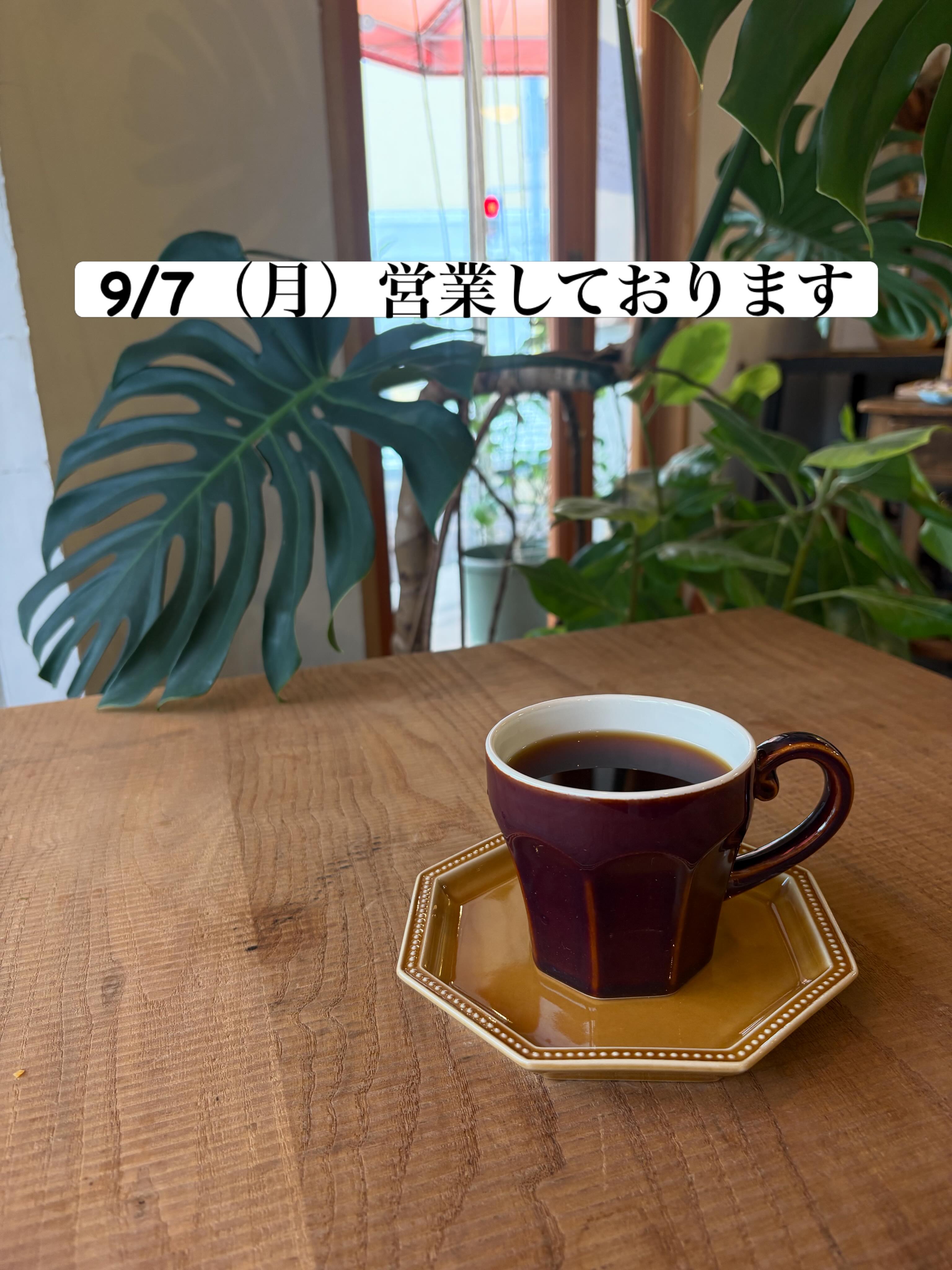 9/7（月）営業しております

足元が悪い日ではありますが
そんな日だからこそ
一息ついてみてはいかがでしょうか？

営業日　月・火曜
営業時間　8:00-17:00
場所　ブーランジェリーm.さん店舗にて

#スペシャルティコーヒー
#コーヒー豆専門店
#自家焙煎
#カフェ
#車道