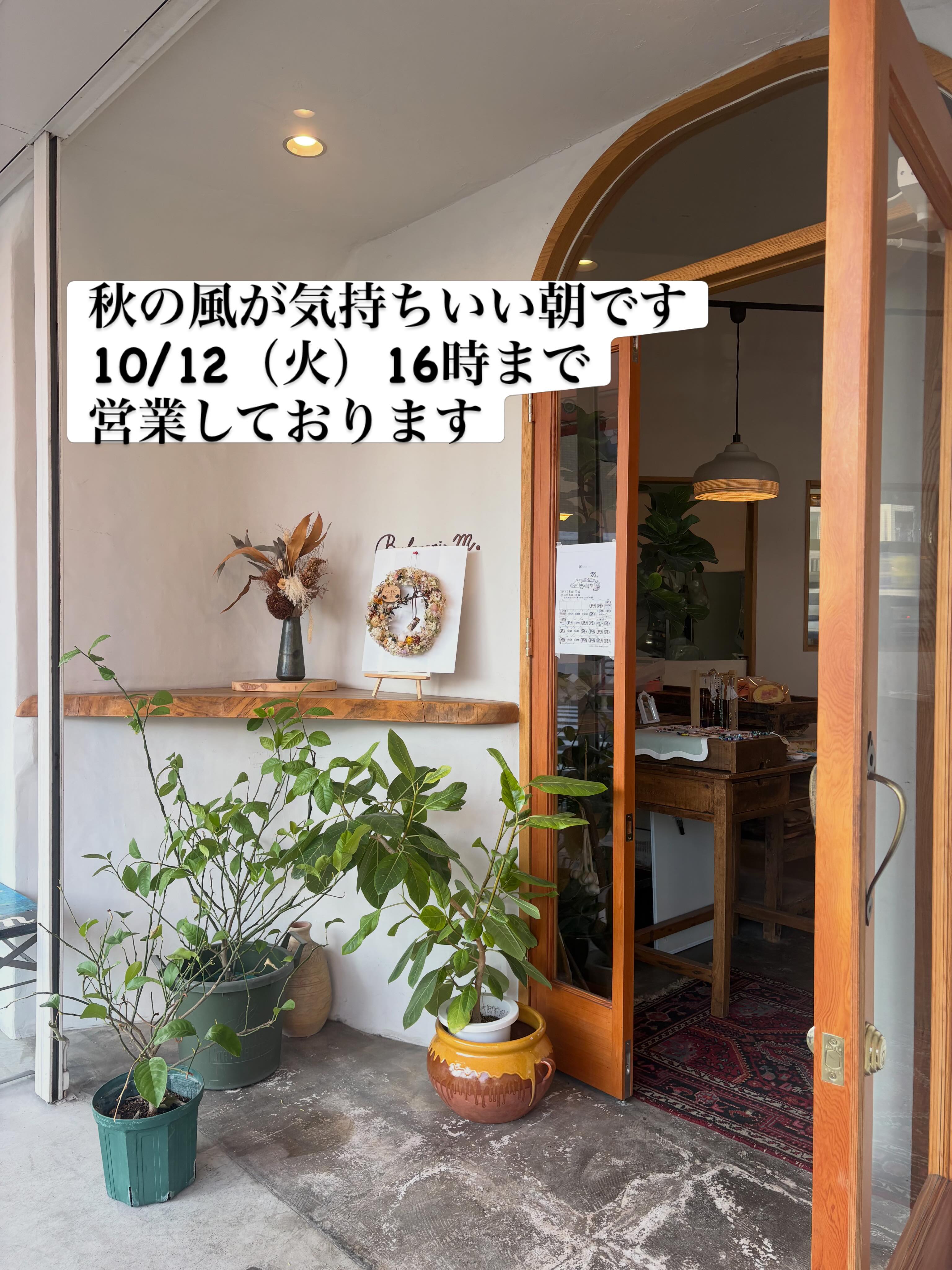 おはようございます
涼しさを感じる秋の風が
心地良いですね

本日は短縮で16時まで営業しております

お散歩がてら
休憩がてら
お立ち寄りくださいね🐾

#スペシャルティコーヒー豆専門店 
#自家焙煎
#豆売り
#カフェ
#車道